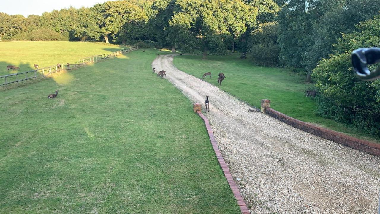Yards Brake On 40 Acres Of Private Land Villa Langton Matravers Dış mekan fotoğraf