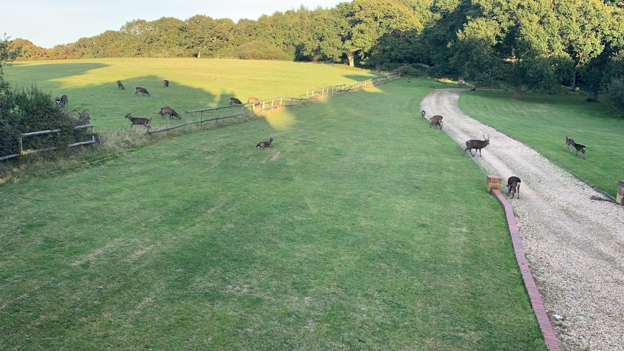Yards Brake On 40 Acres Of Private Land Villa Langton Matravers Dış mekan fotoğraf