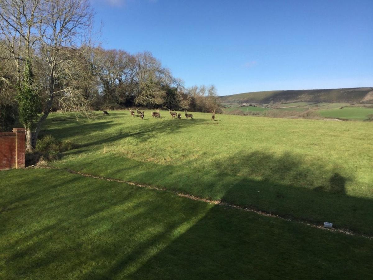 Yards Brake On 40 Acres Of Private Land Villa Langton Matravers Dış mekan fotoğraf